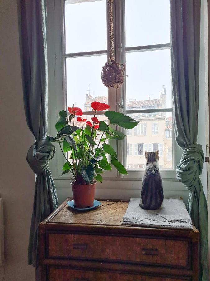 Jolie Chambre Dans Appartement Cosy En Plein Centre Марсель Экстерьер фото